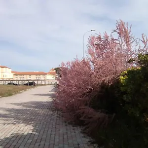 Appartamento In Parco Naturale, Con Accesso Diretto, Pisa